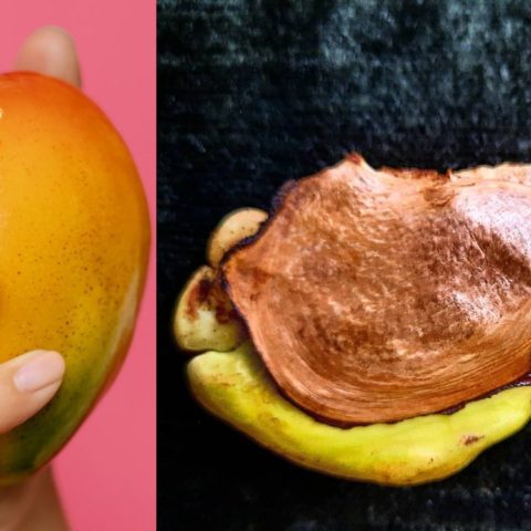 beneficios de la semilla de mango