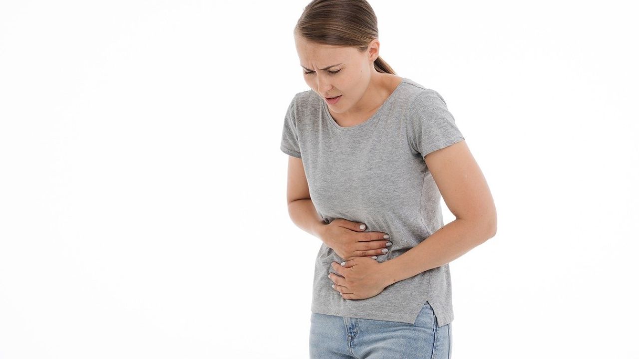 Plantas medicinales para aliviar la gastritis y colitis