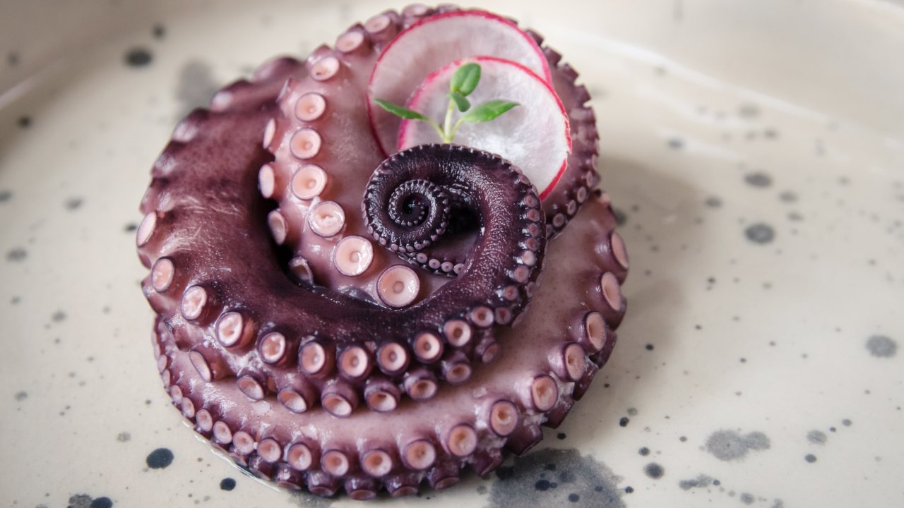 por qué asustar al pulpo antes de cocerlo como ablandar