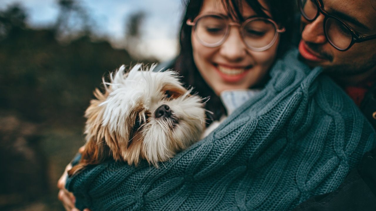 mascotas como perros no viven mucho