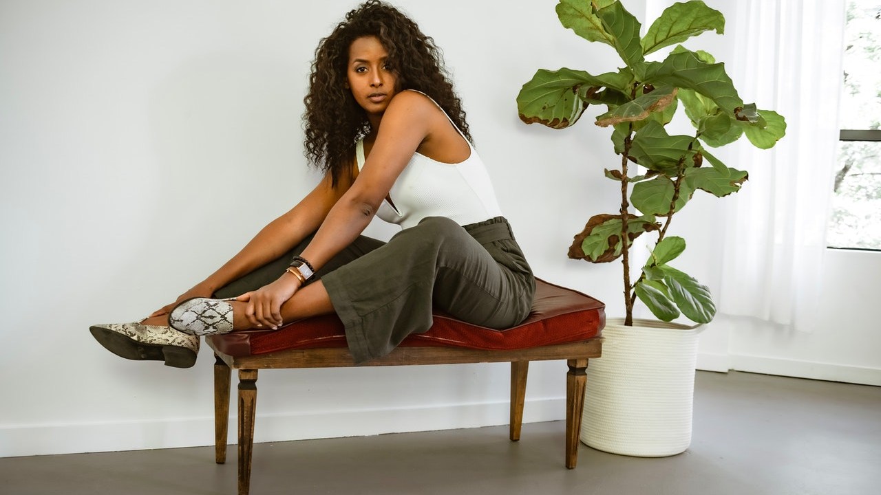 plantas de sol por qué tienen hojas caídas