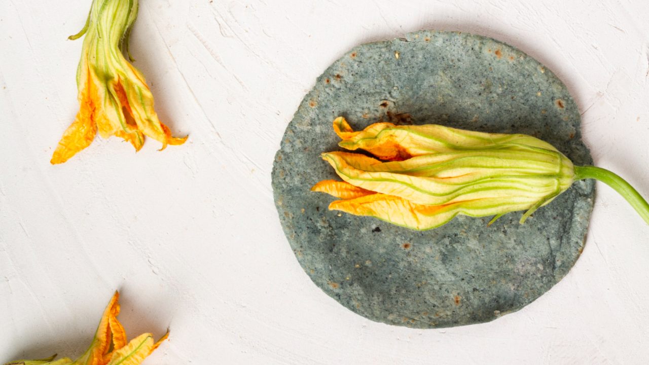 alimentacion flor de calabaza gran tenochtitlan aztecas