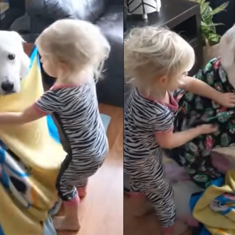 nena envuelve a perrito en cobijas