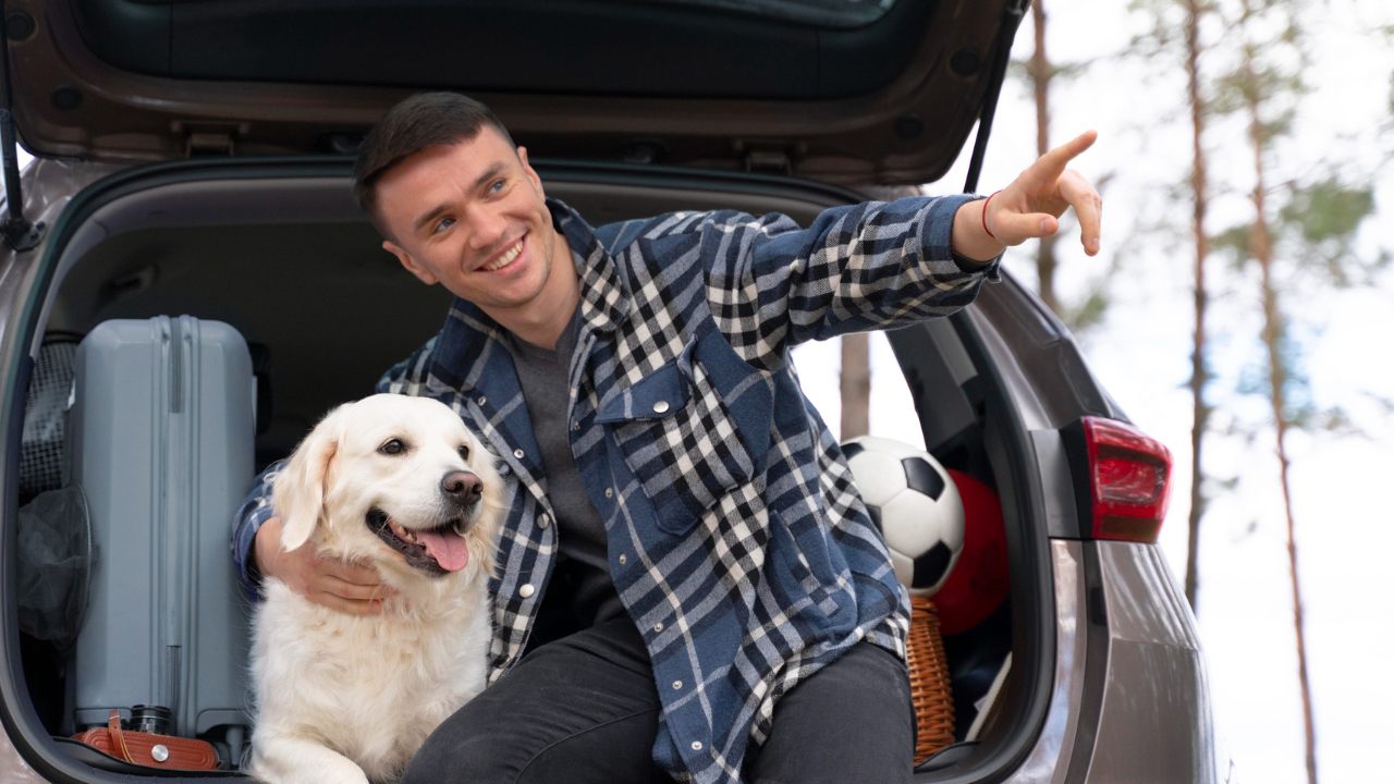 perros pueden enfermar al viajar