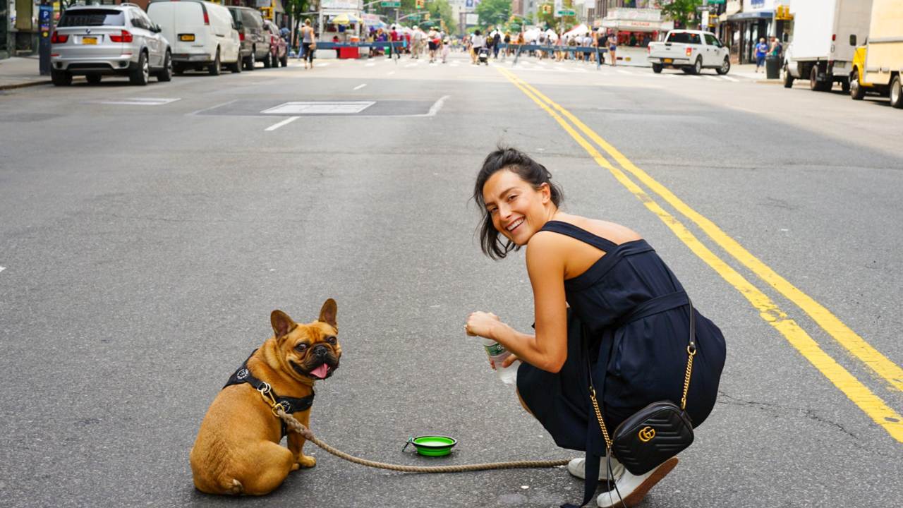 mascotas que no deben volar salud