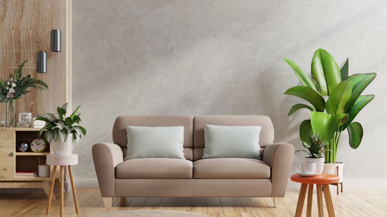 Organiza la sala comedor