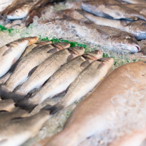 como congelar pescado para que no se eche a perder