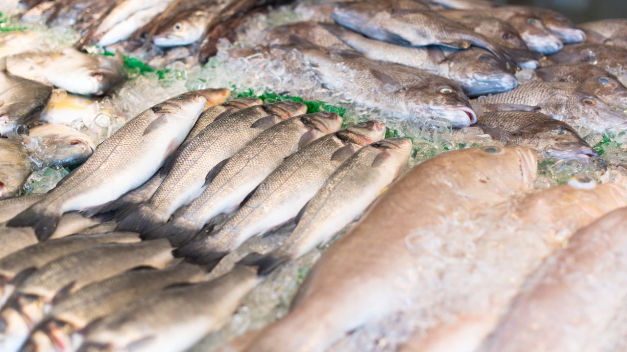 como congelar pescado para que no se eche a perder