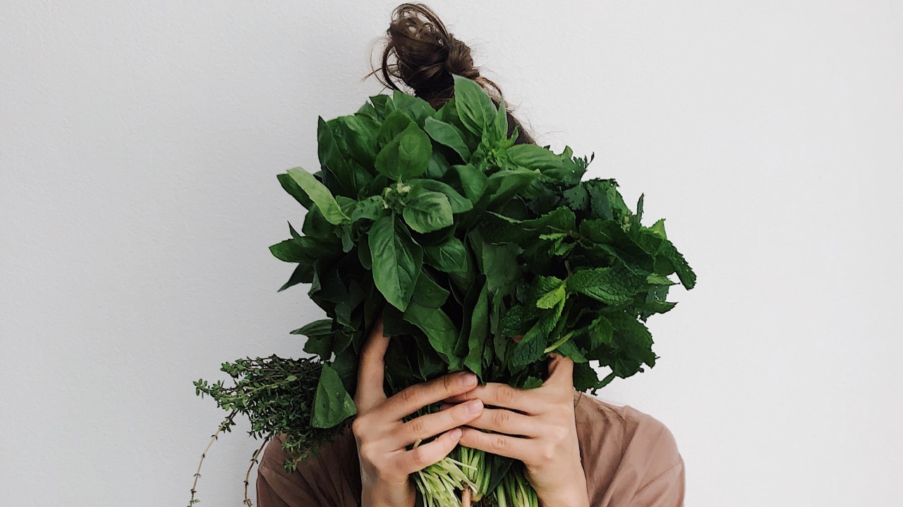 macetas para cultivar menta