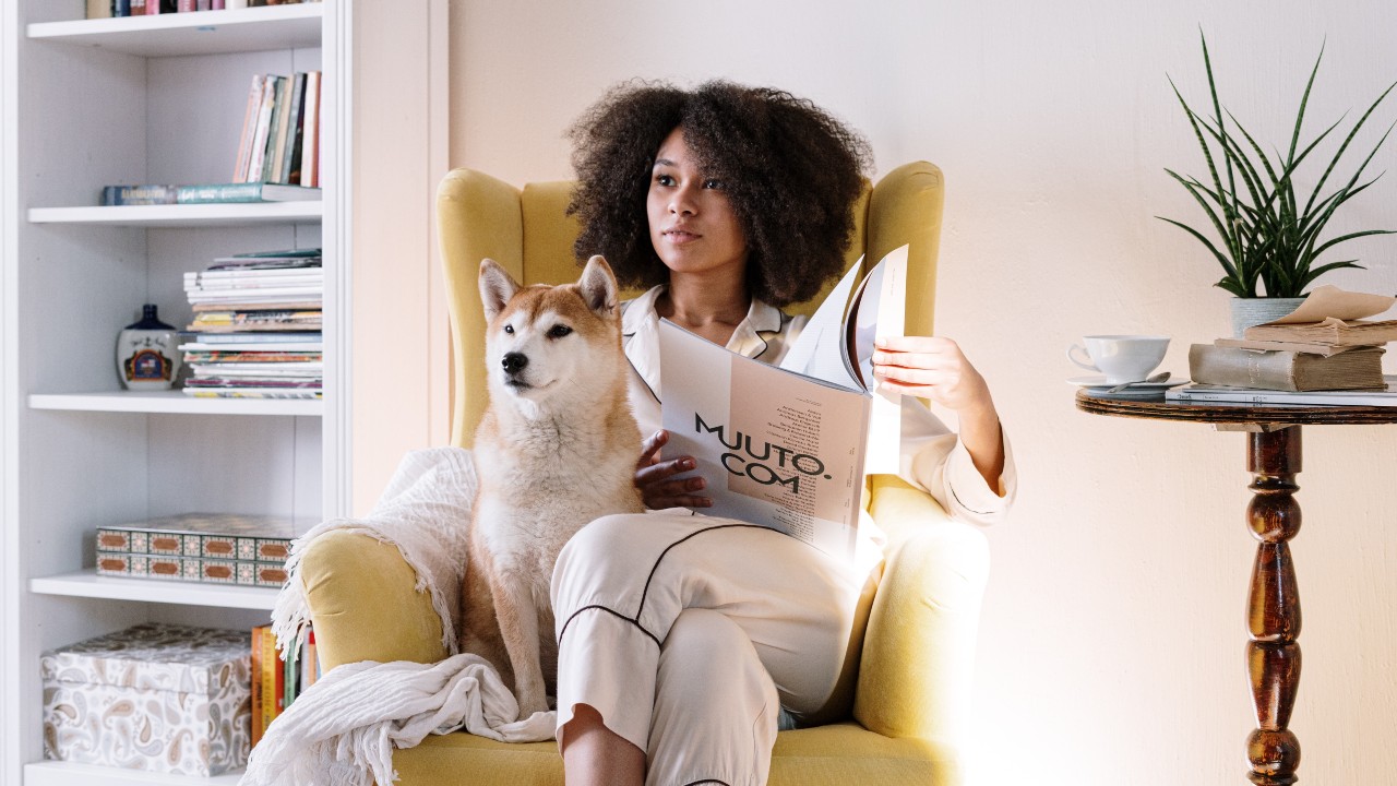repelente de perros para jardineria