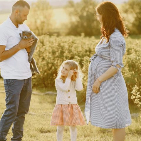 gato puede percibir un embarazo mito