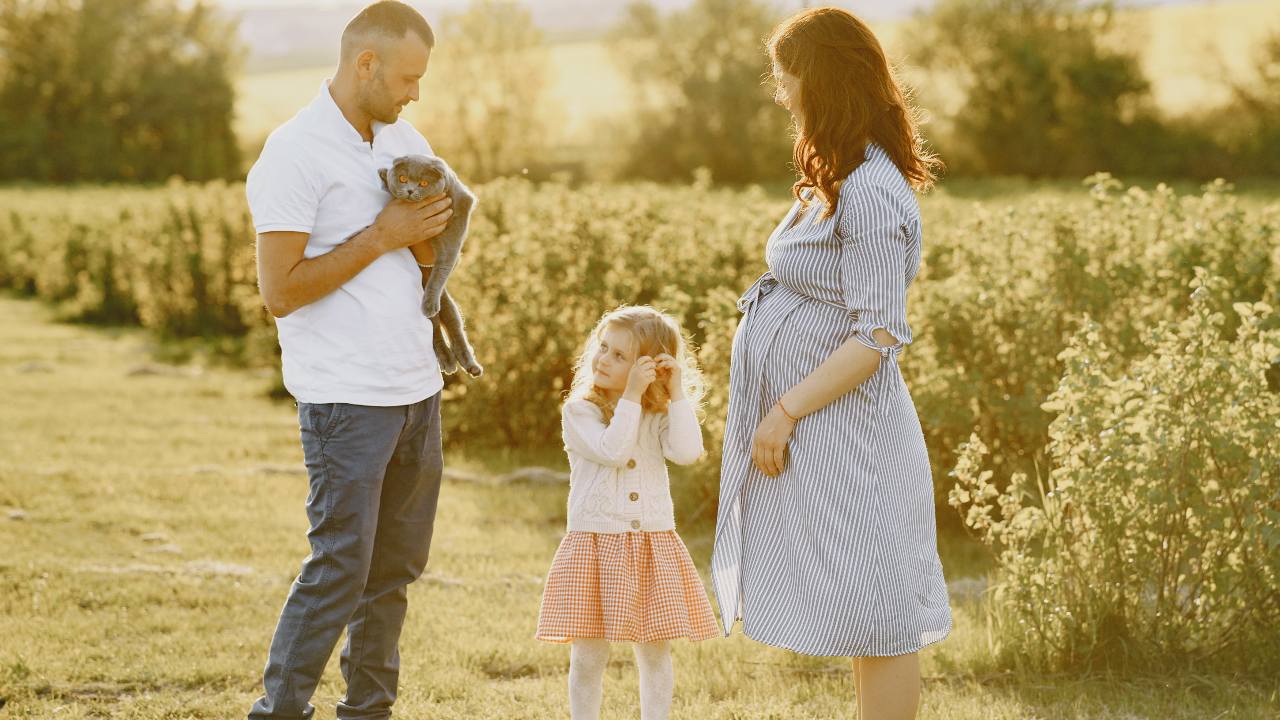 gato puede percibir un embarazo mito
