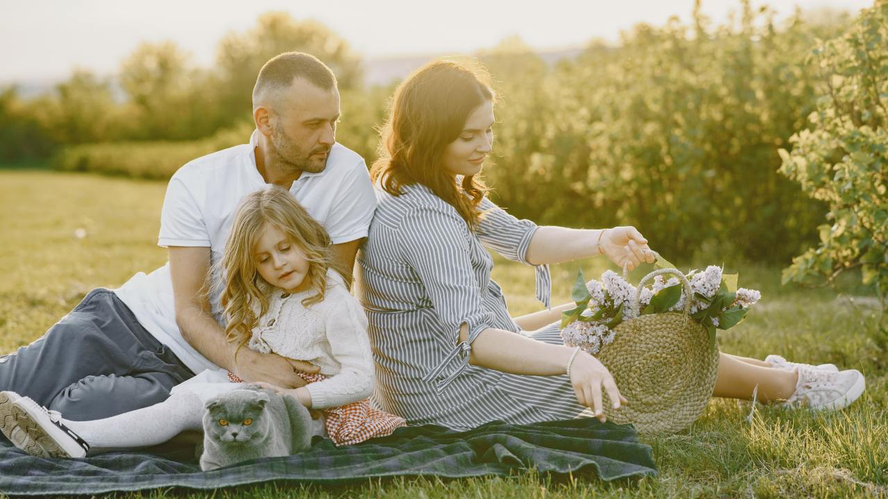 gatos son capaces de percibir gestación humana