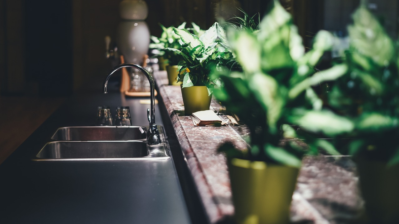 secretos-de-la-Dieffenbachia