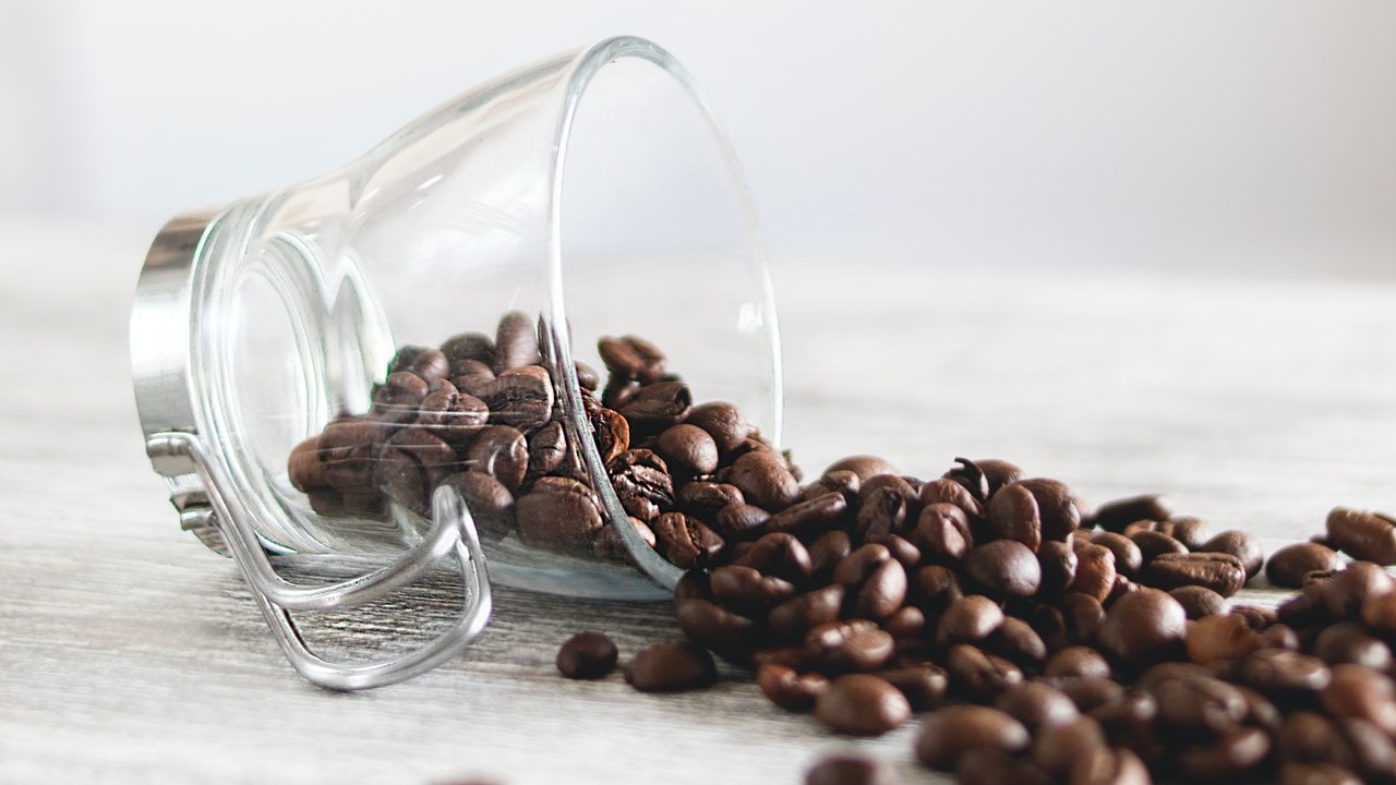 café para eliminar el olor a humedad en casa