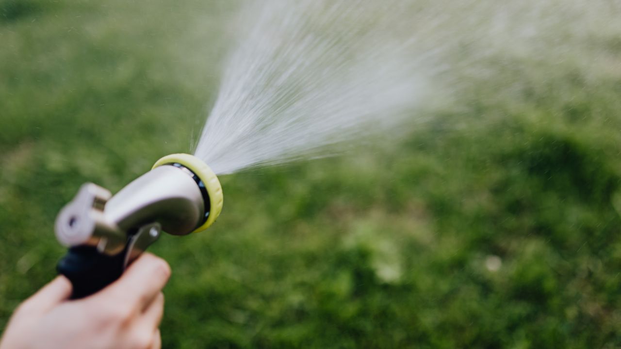 A qué hora debo regar mi jardín