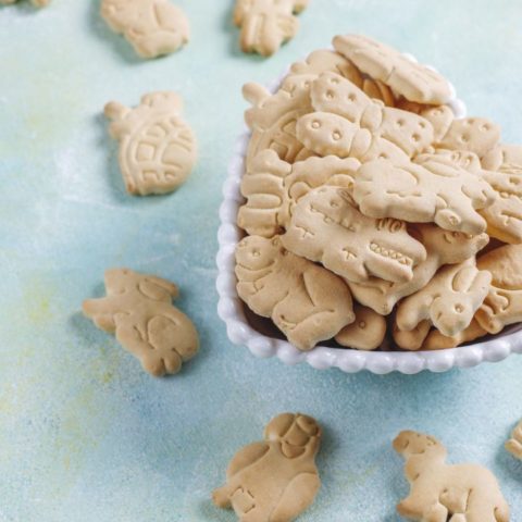 Dónde nacieron las galletas de animalitos