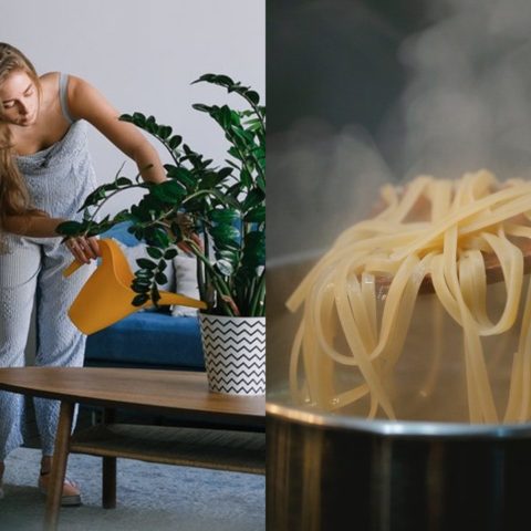Beneficios del agua de la pasta para tus plantas