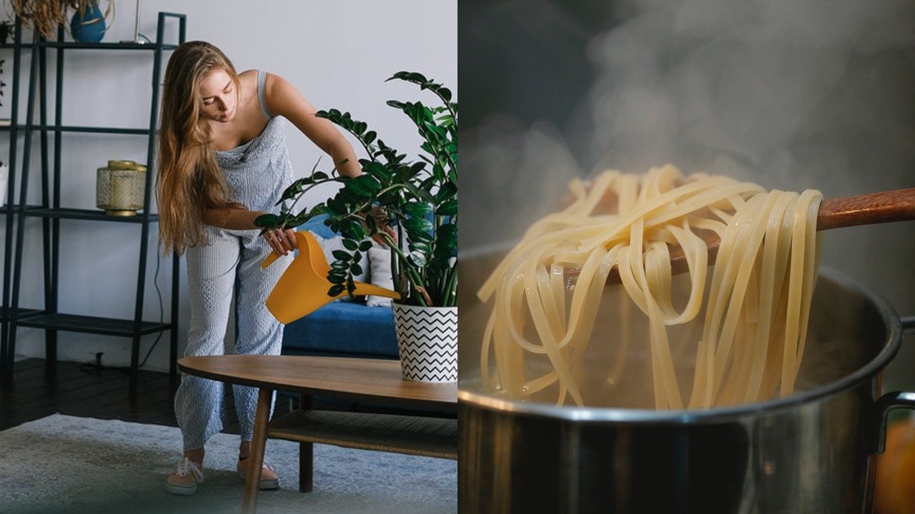 Beneficios del agua de la pasta para tus plantas
