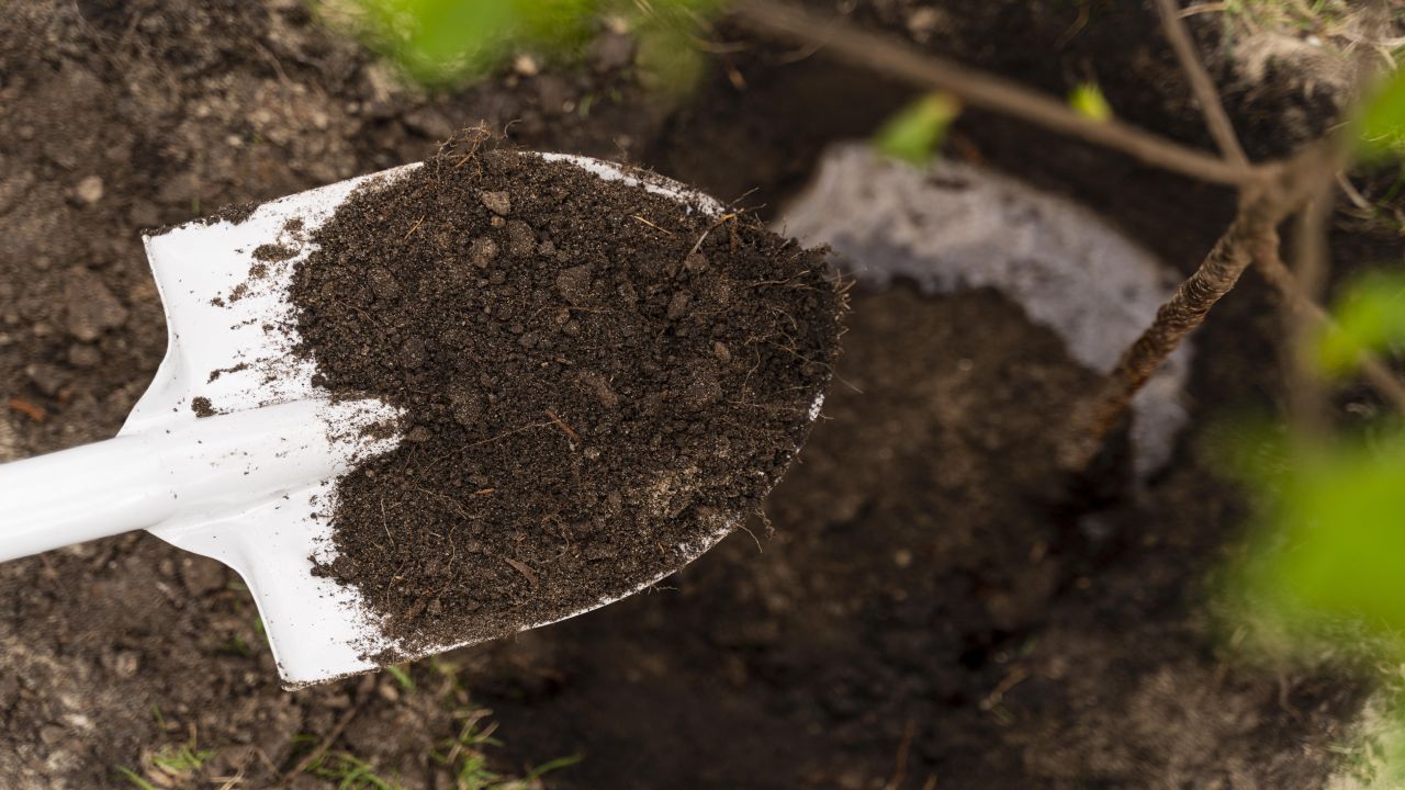 Tipos de cal para la jardinería