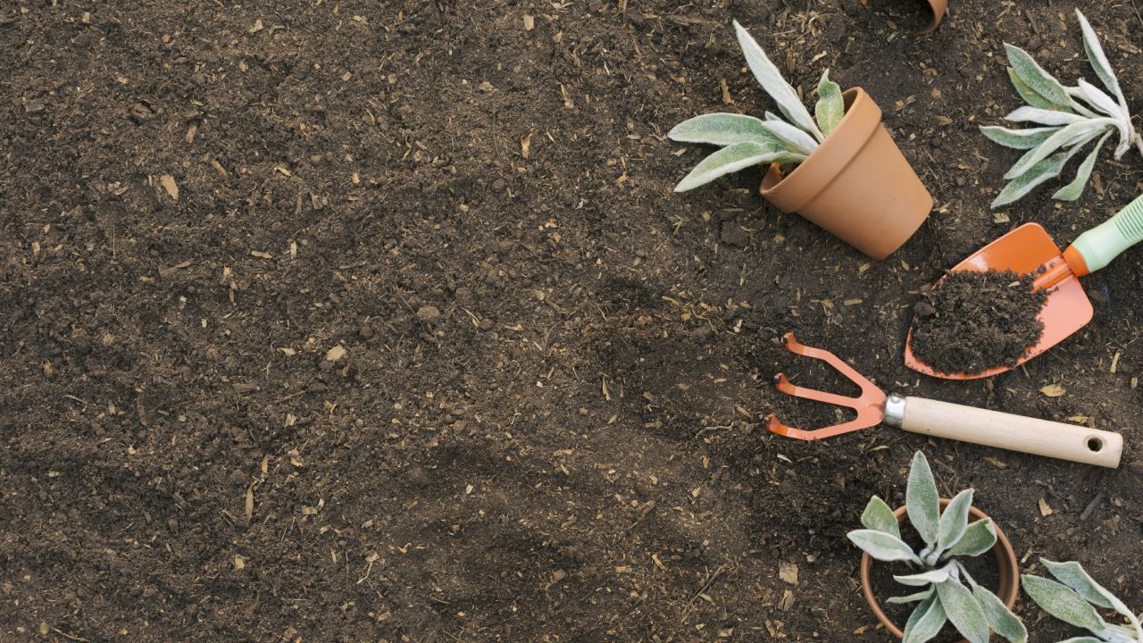 Usos del cal para la jardinería