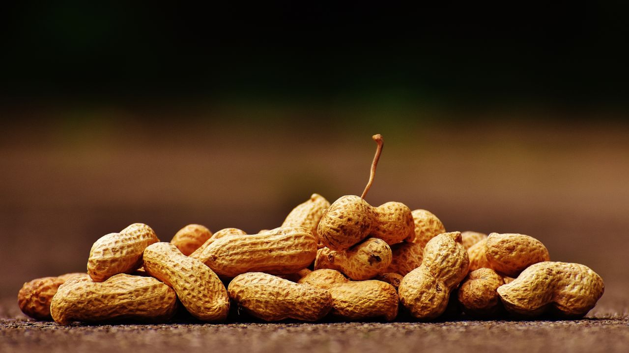 Comer cacahuates mejora la salud cognitiva