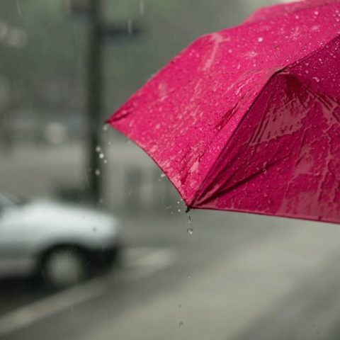 Aprovecha el agua de lluvia con estos consejos