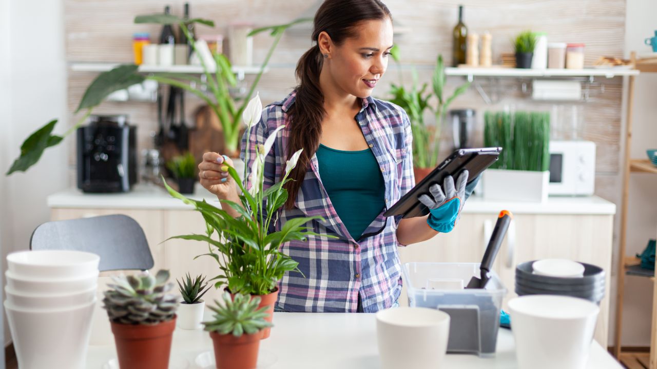 cuales son las mejores macetas de barro o plastico