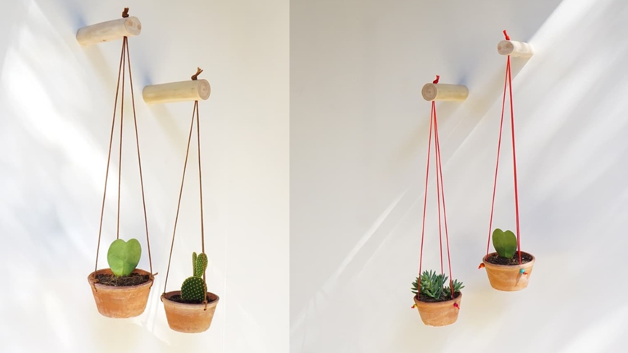 plantas de interior como ponerlas en macetas que cuelgan