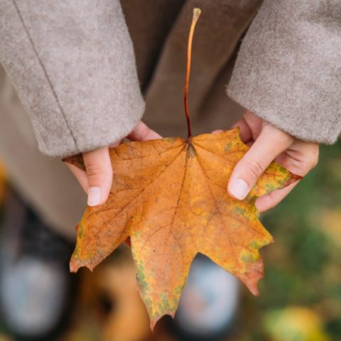 significado espiritual del equinoccio de otoño