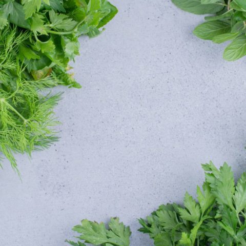 Conserva tus hierbas de olor con estos métodos