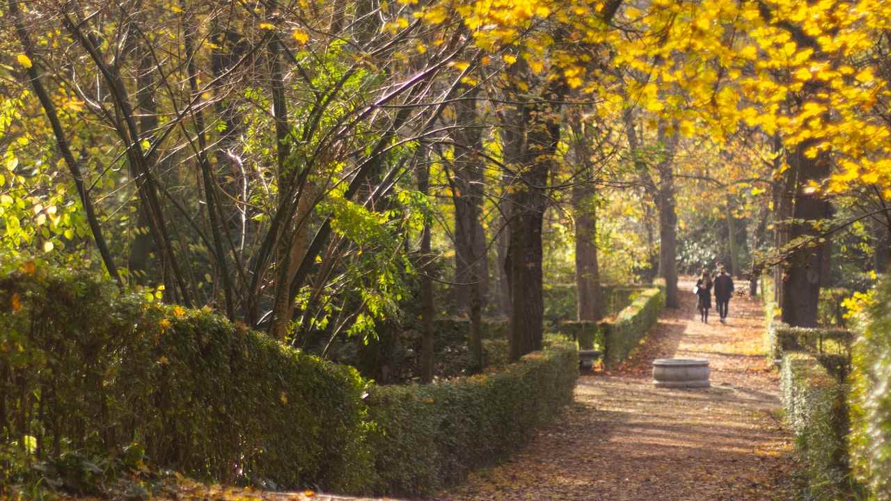 otoño en méxico 2021