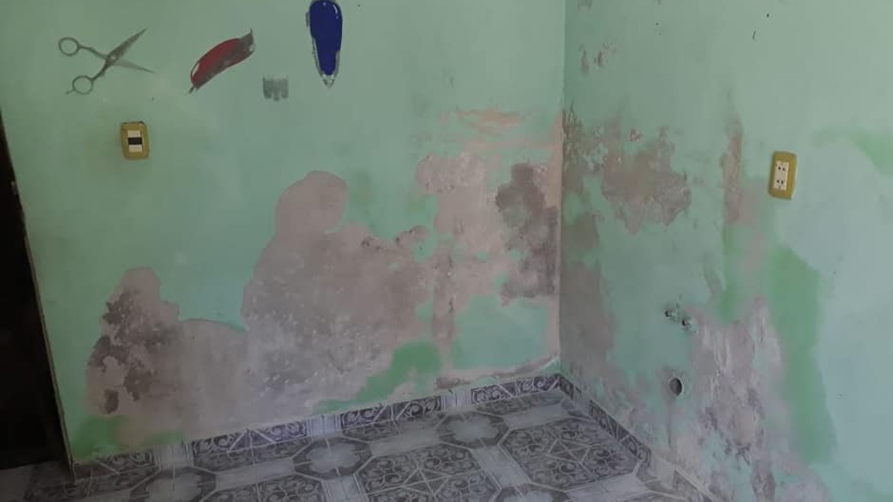 métodos para eliminar paredes con humedad