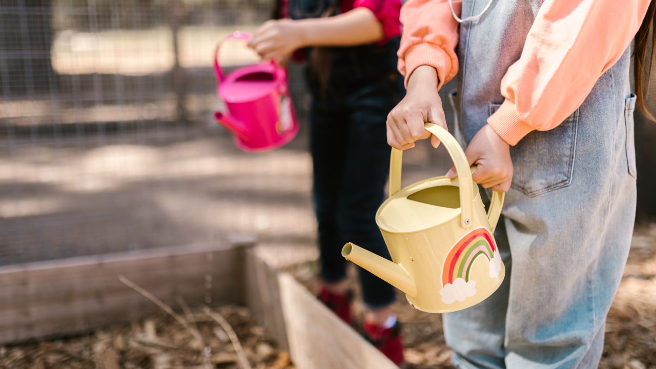 Riega tus plantas con agua de avena