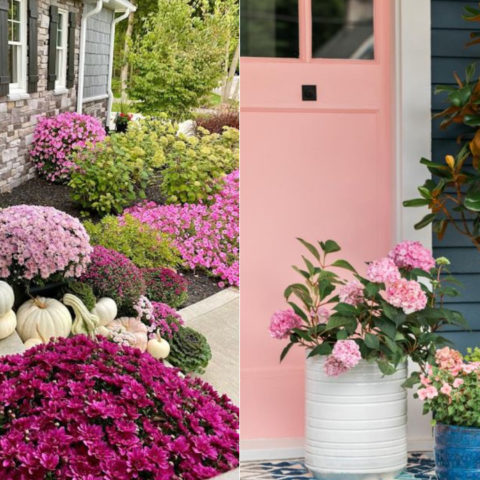 Hermosas ideas para hacer un jardín de macetas en tu patio