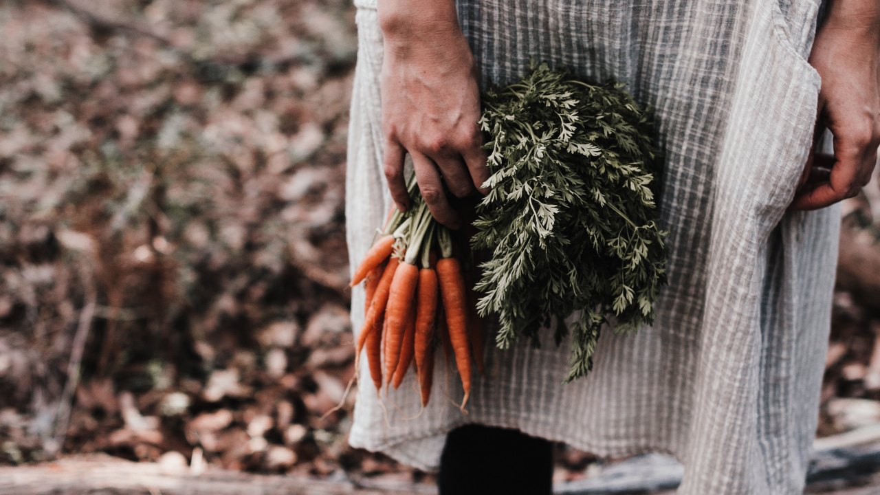tipos de plantas que crecen en una semana