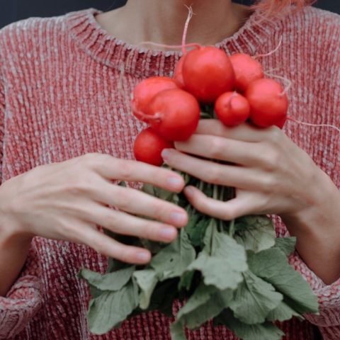 plantas de interior que crecen rapido