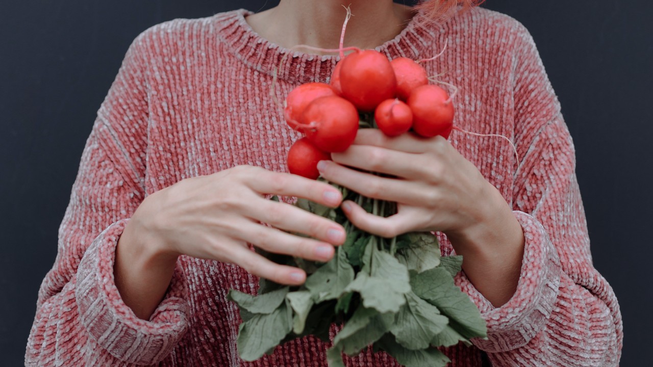 plantas de interior que crecen rapido