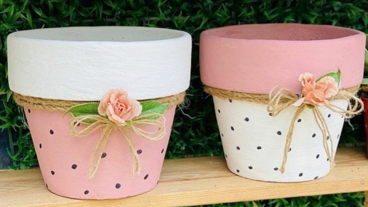 Decora con pintura para hacer tus plantas más llamativas