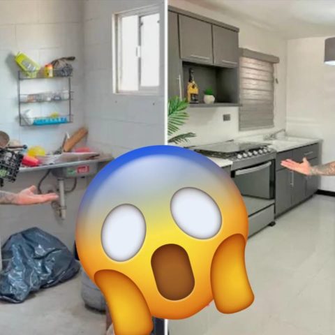 Remodelación de una casa viral