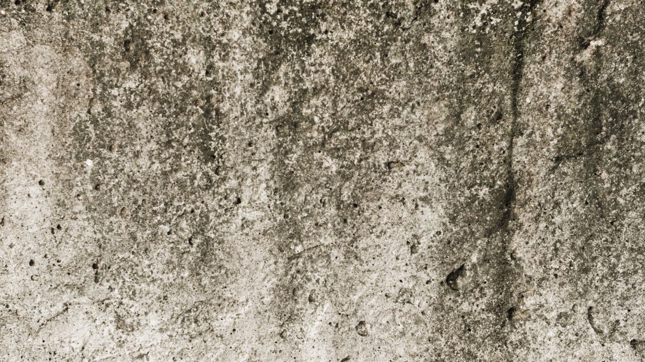 como quitar la humedad de las paredes con cloro