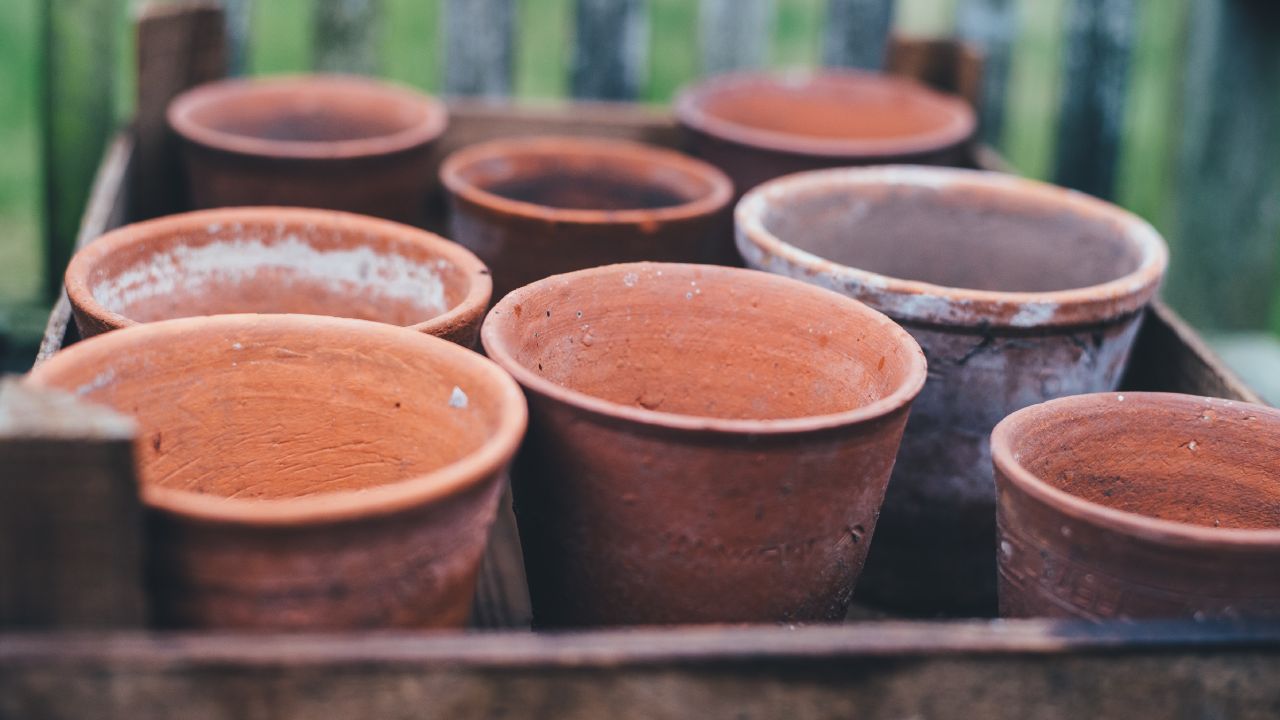 Que los contenedores de tus plantas para interiores le den vida a tu hogar con vinagre