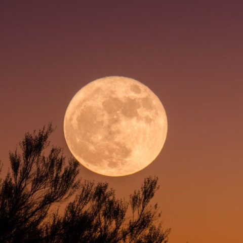 Qué es la Luna Llena de la Cosecha