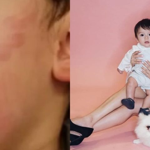 niños pueden estresar a los perros