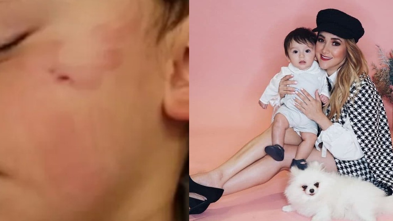 niños pueden estresar a los perros