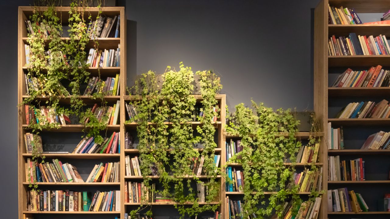 Elimina el polvo de tus libraros fácil y rápido