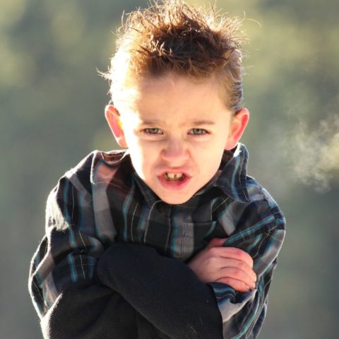 niños obstinados serán adultos exitosos