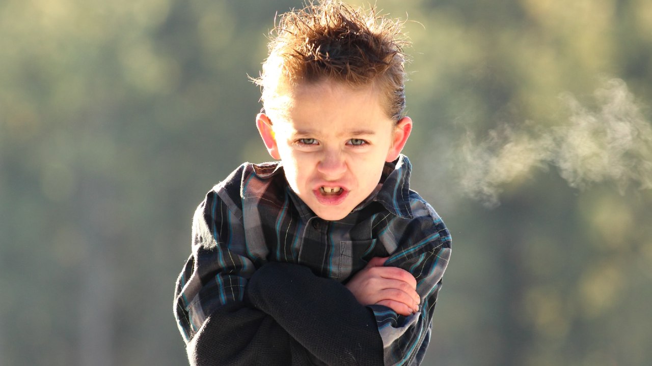 niños obstinados serán adultos exitosos