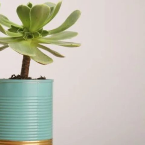 usos originales que puedes dar a latas