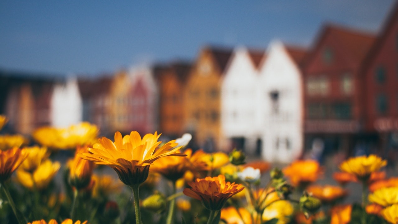 planta para el cambio de estación